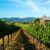 Must-Visit Wineries in Devonport, Tasmania for Wine Lovers