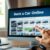 Rent a Car Online: The Complete Guide to Full Coverage