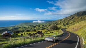 A winding road curves through Maui Upcountry’s green, hilly pastures with grazing cows and wooden barns. A white convertible cruises this scenic route, sloping down to the blue ocean under a clear sky, with mountains rising on the right.