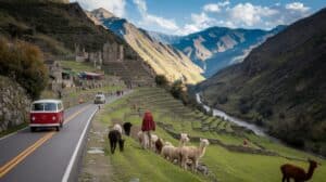 A scenic mountain valley in Peru’s Sacred Valley features terraced fields, a winding road with vans on a road trip, ancient stone ruins, and people walking near grazing alpacas under a blue sky scattered with clouds.