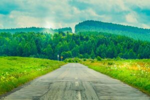 A straight, empty road—part of Hokkaido Flower Fields Drive—runs through lush green fields with wildflowers, leading toward dense forested hills under a partly cloudy sky. Road signs dot this serene, vibrant Floral Route.