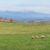 Hokkaido Flower Fields Drive: Best Routes, Timing, And Stops