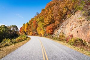 A winding paved road curves left beside a rocky hillside on the Blue Ridge Parkway. Autumn trees with vivid red, orange, and yellow leaves line the way under a clear blue sky, creating a bright and colorful fall landscape.