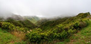 A lush green valley stretches between hills covered with dense vegetation. Low clouds and mist obscure the hilltops, creating a moody atmosphere—perfect scenery for a North Island road trip in New Zealand. A winding road curves through the landscape on the left.