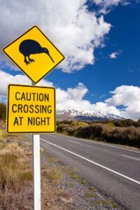 A road sign near a rural North Island road in New Zealand warns of kiwi birds crossing at night, with mountains, shrubs, and a partly cloudy blue sky in the background—perfect for those seeking unique travel tips on their road trip.