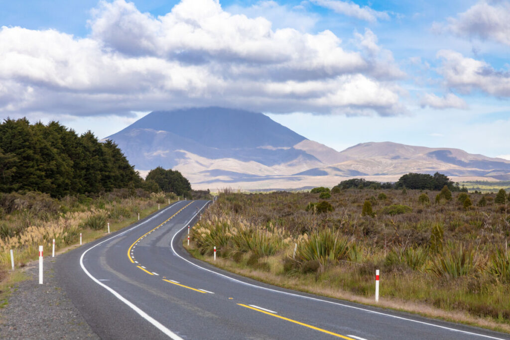 A winding road with yellow center lines curves through grassy plains and low shrubs, perfect for a North Island road trip. Dense trees line the left side, while a cloud-capped mountain rises under New Zealand’s blue sky.