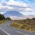 North Island Road Trip Planning Tips For New Zealand