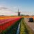 Tulip Route In Northern Holland: Best Stops, Timing, And Travel Tips